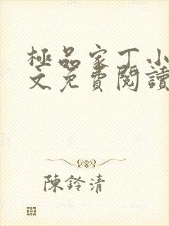 极品家丁小说全文免费阅读