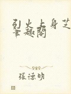 引火上身芝麻糖笔趣阁