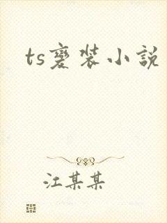 ts变装小说