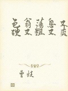 色翁荡息又大又硬又粗又爽封面