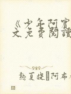 《少年阿宾》全文免费阅读