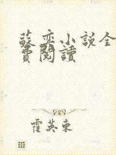 苏奕小说全文免费阅读