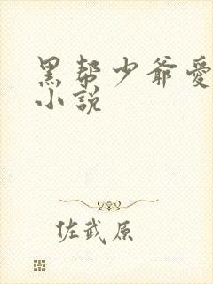 黑帮少爷爱上我小说