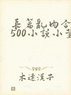 长篇乱肉合集乱500小说小莹