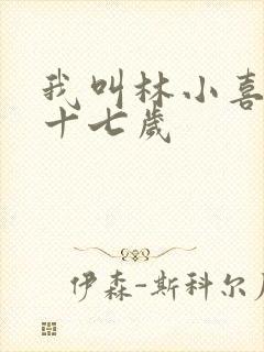 我叫林小喜今年十七岁