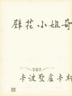 壁花小姐奇遇记