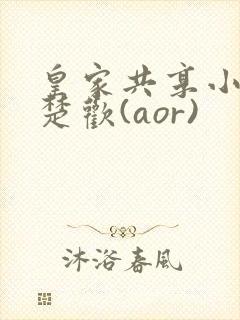 皇家共享小公主楚欢(aor)