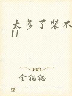 太多了装不下H11