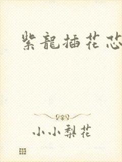 紫龙插花芯方正