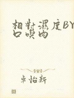 相对湿度BY大口吃肉