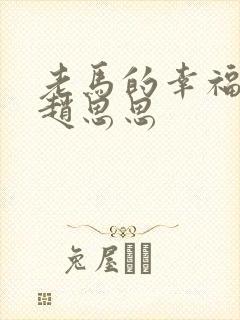 老马的幸福生活赵思思