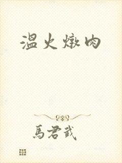 温火炖肉