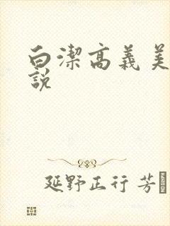 白洁高义美红小说