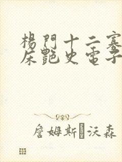 杨门十二寡妇肉床艳史电子书