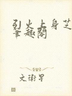 引火上身芝麻糖笔趣阁