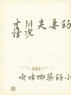 才川夫妻的恋爱情况