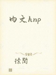 肉文hnp