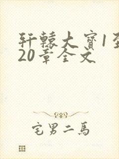 《轩辕大宝1至720章全文》小说封面
