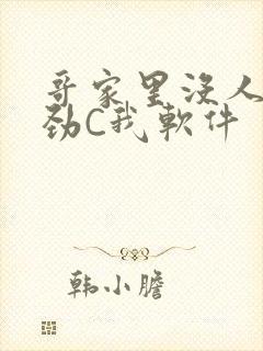 哥家里没人使点劲C我软件