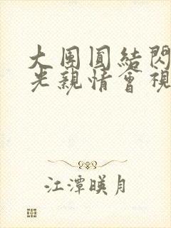 大团圆结闪闪发光亲情会视频