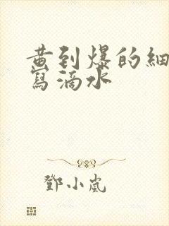 《黄到爆的细节描写滴水》小说封面