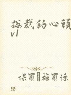 总裁的心头宝1v1