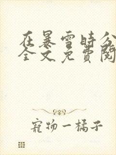 在暴雪时分小说全文免费阅读