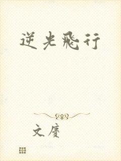 逆光飞行
