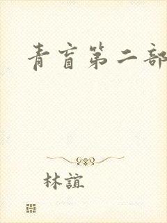 《青盲第二部》小说封面