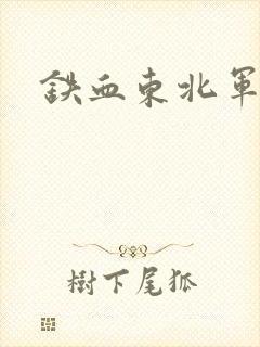 铁血东北军