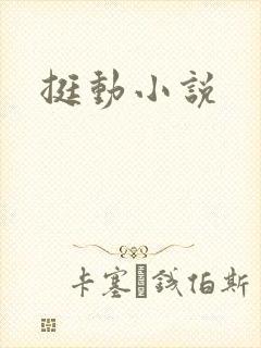挺动小说