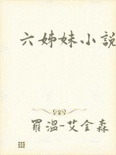 六姊妹小说