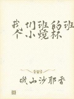 我们班的班花是个小烧杯