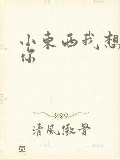 小东西我想弄坏你封面