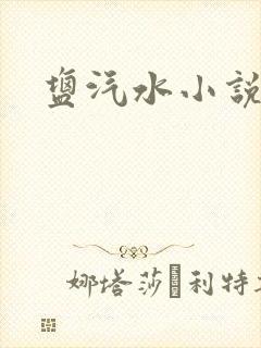 盐汽水小说
