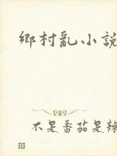 乡村乱小说