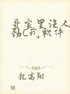 哥家里没人使点劲C我软件