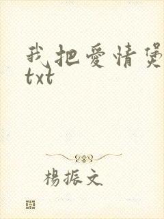 我把爱情煲成汤txt