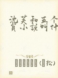 沈芙和五个消防员小说叫什么封面