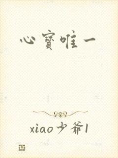 心宝唯一