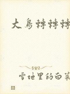 大鸟转转转酒吧