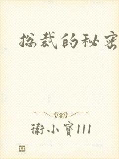 总裁的秘密情人