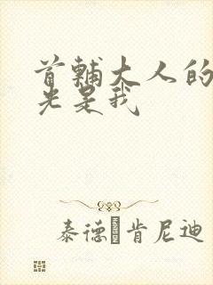 首辅大人的白月光是我