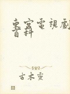 东宫电视剧百度百科封面