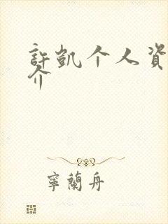 许凯个人资料简介