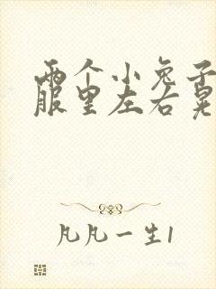 两个小兔子在衣服里左右晃