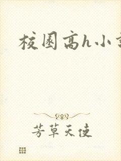 校园高h小说