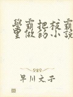 学霸把校霸往死里做的小说