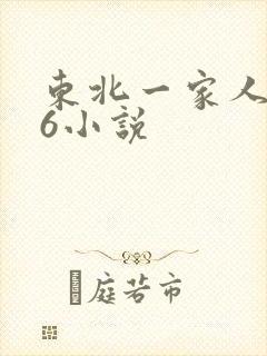 东北一家人1一6小说