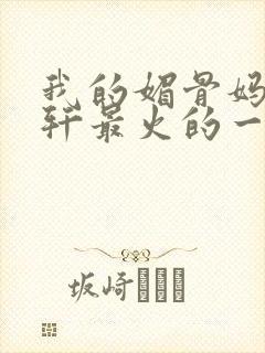 我的媚骨妈妈林轩最火的一句